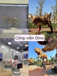 Villa Novaworld Phan Thiết