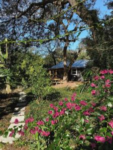 Midcentury Bungalow with hot tub-walk to amphitheater and downtown