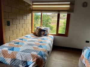 Tinny House Villa Victoria