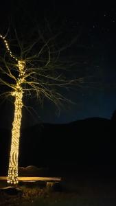 Tiny house at Gilderoy Valley Views