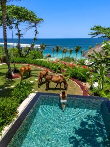 NIHI Sumba - 50 Best Hotels of the World