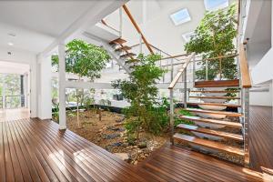 Pandanus - Agnes Water