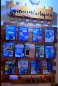 Confort Compartida Ctg x3