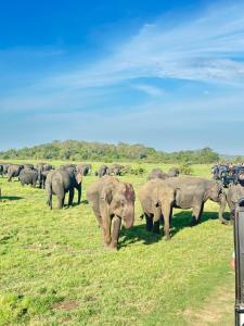 Habarana Farm Cottage