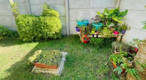 Hermoso departamento en sector Playa Hermosa Pichilemu - Cabañas Parova