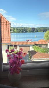 Große Ferienwohnung alte Bäckerei