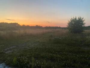 Holiday On Magical Nature Plot For Families