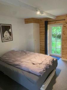 Holiday On Magical Nature Plot For Families