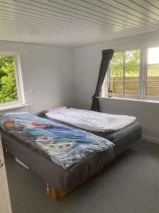 Holiday On Magical Nature Plot For Families