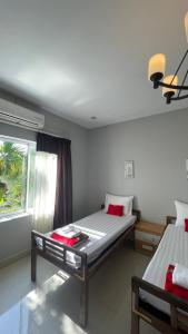 Rocky Cafe & Mini Apartment