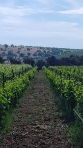 B&B Biobonizio PIERLUIGI