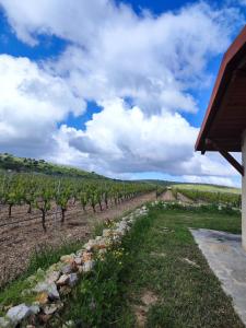 B&B Biobonizio PIERLUIGI