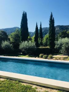 Le Champ des Oliviers