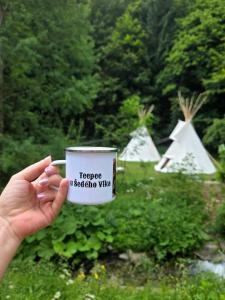 Teepee u Šedého Vlka