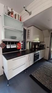 Arctic Villa Iisakki