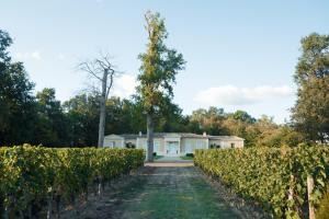 La Closerie des Vignes - Chatonnet Vineyards