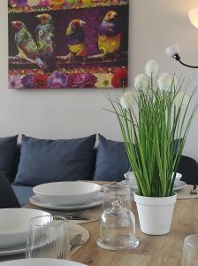 San Francisco Apartament, 6 osób, 49m2