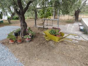 Studios Koula 2-PETROS