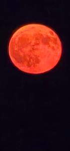 casetta sul porticciolo img37