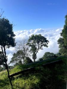 Lemos Cafe and Homestay