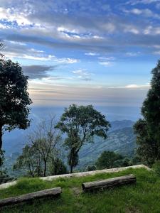 Lemos Cafe and Homestay