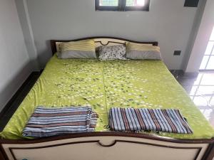 Raghuvanshi valley villa