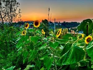 Köşk de AKTUĞ Konutu