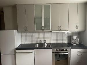 Koselig leilighet i sentrum med parkering