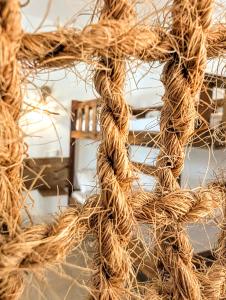 the moon coliving & holiday apartments