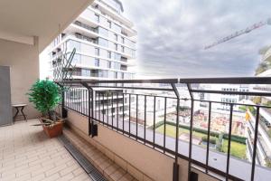 I-Host Flat - Adamello 8