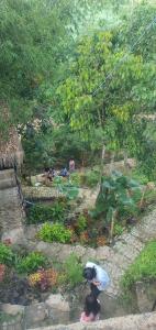 Metaglamp Camping Ground