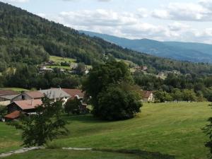 Appartement confortable à Cleurie avec jardin