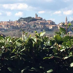 Agriturismo Borgo Santa Lucia, Entire property