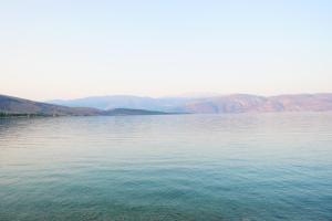 Seaside Garden Galaxidi