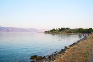Seaside Garden Galaxidi
