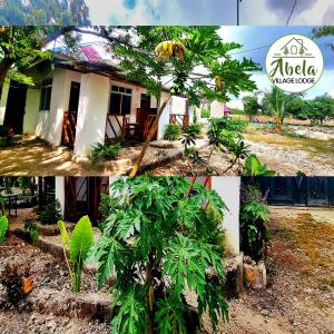 Abela Village Lodge