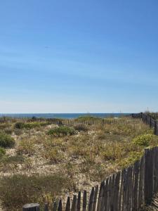 directe plage à moins de 100m
