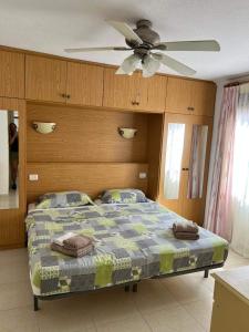 One bedroom apartament tenerife south