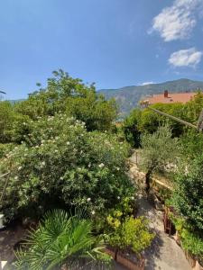 Pampas Family Apartment