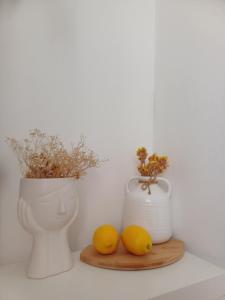 Pampas Family Apartment