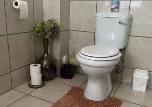 The Lion Room at Fredericks Place