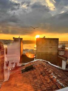 Golden Horn Hidden Haven