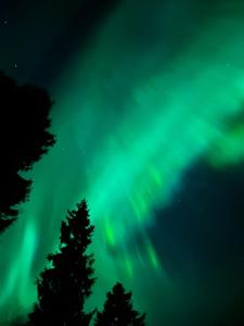 Simojärvi Lake House - 1h 20m from Rovaniemi City - Omakotitalo Simojärvellä