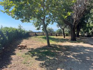 RDC maison de maitre pour 6 personnes avec piscine et jacuzzi