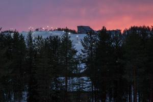 Alppilevi B 6 Visit Levi