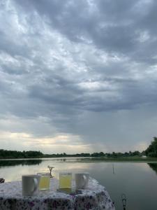 Kuca za odmor-Tisa Hideaway