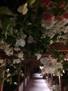 Stamenkovic apartman