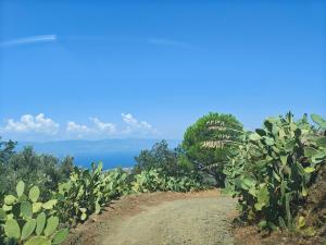 Il casale degli aragonesi