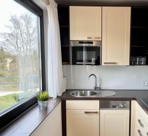 Appartementhaus Seemöwe Silbermöwe