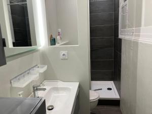 Très beau meublé lumineux